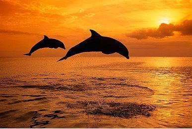 亚马逊《战神》剧集将保留游戏的所有价值